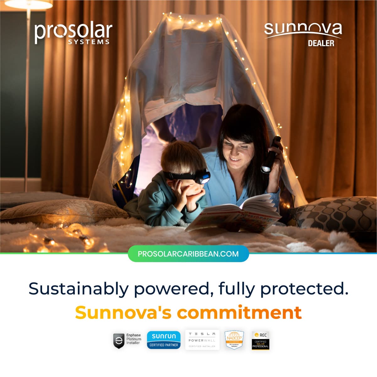 Prosolar social media graphic 4