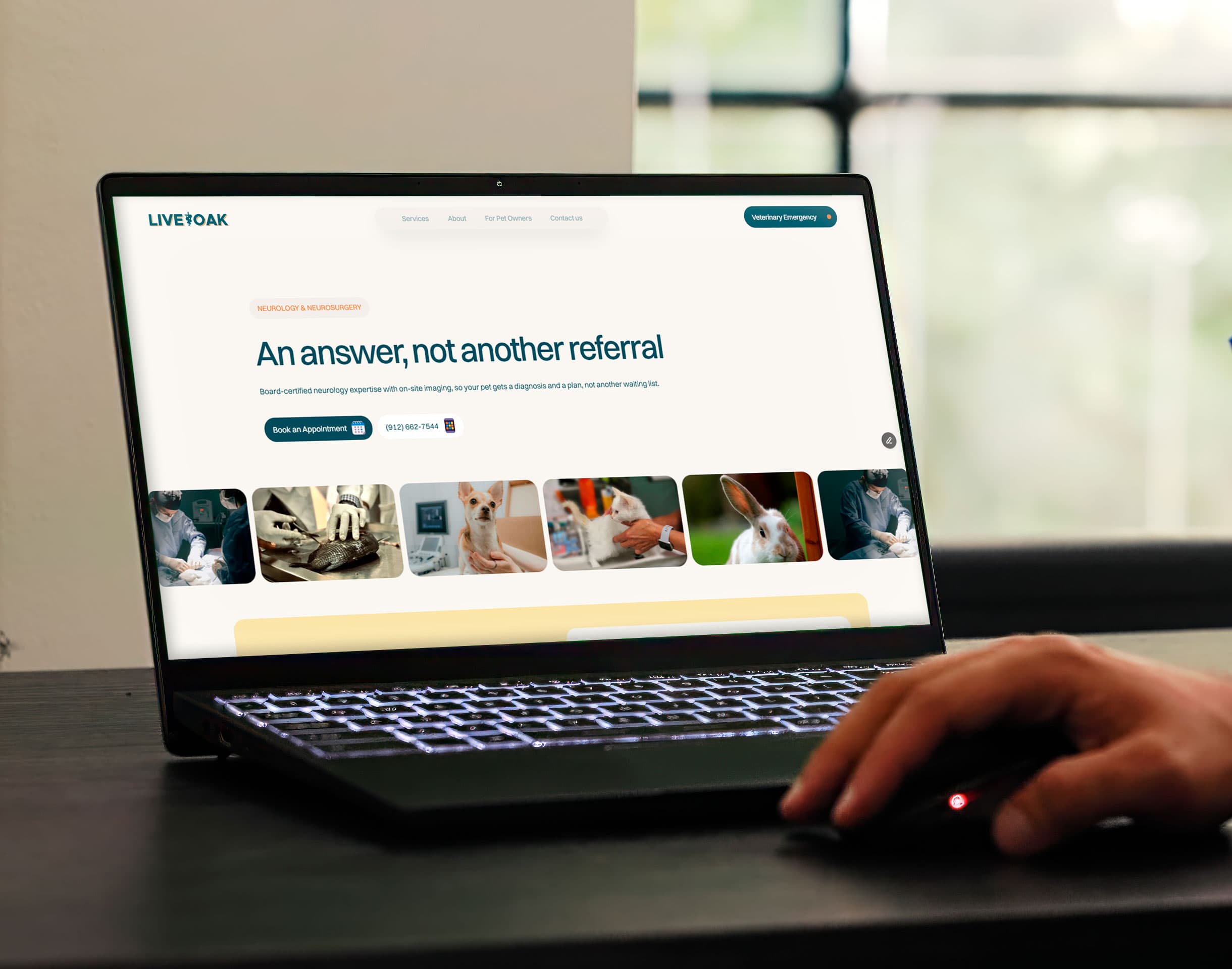 Web Design
