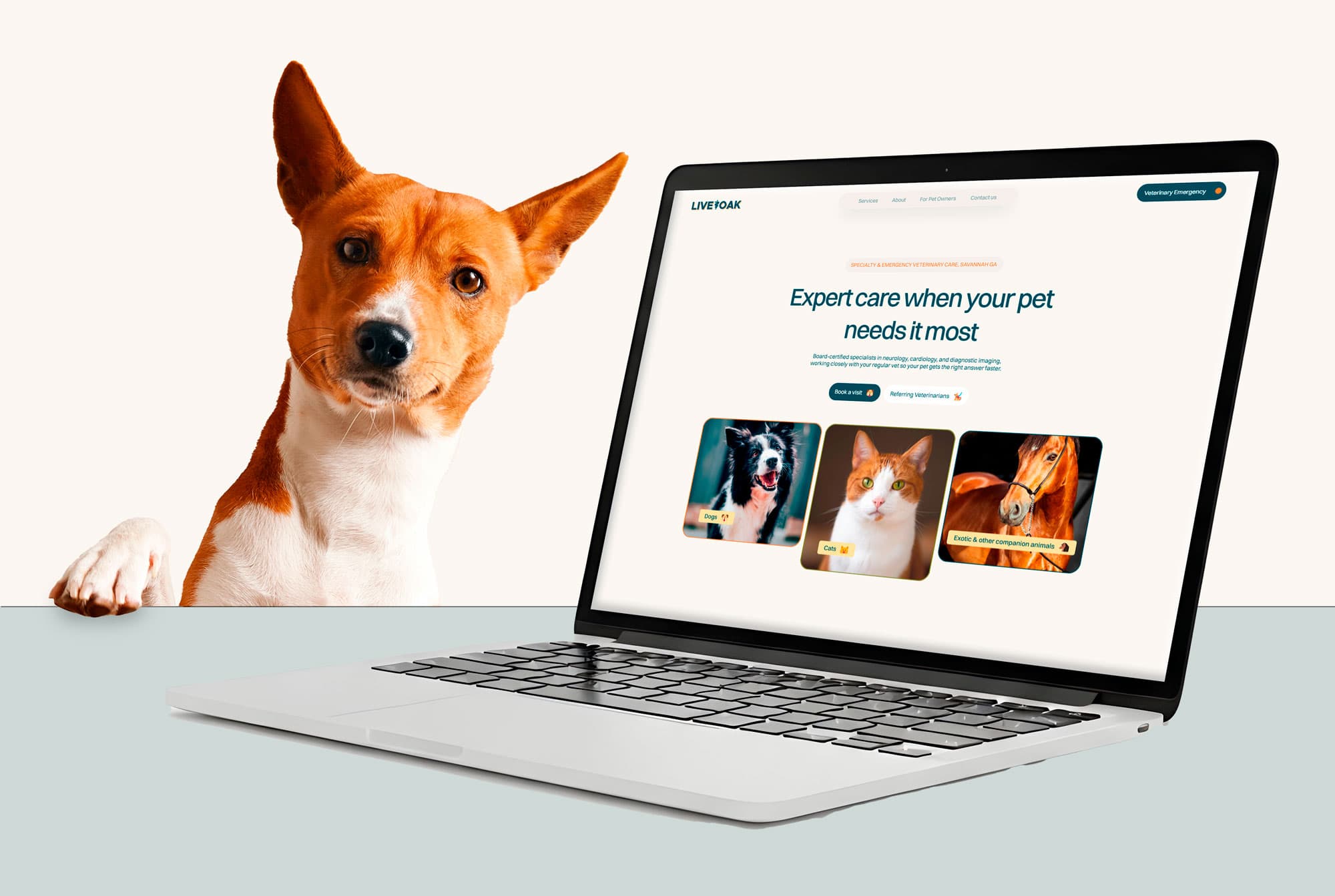 Live Oak Veterinary Specialists